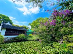 -上海醉白池公园