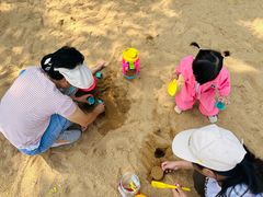 -宝安西湾红树林湿地公园