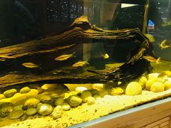 -弓舍射箭俱乐部(高新总店)