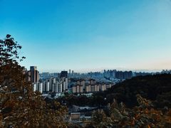 -金鸡山公园