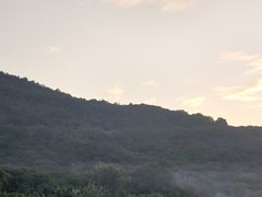 -风云岭森林公园