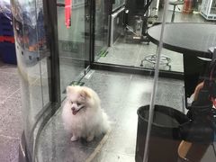 -宠物家(大兴旧宫店)