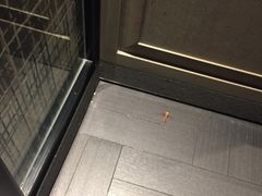 -深圳四季酒店·馥自助餐厅