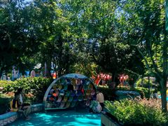 -苏州乐园森林水世界