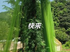 -北仑森林植物园
