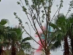 -美的鹭湖探索王国