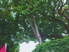 -福建师范大学(仓山校区)