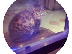 -考拉拉音乐酒吧