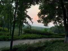 -上海市保健医疗中心