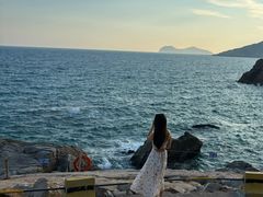 -广东惠东海龟国家级自然保护区