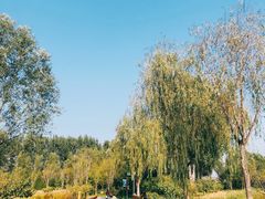 -东郊湿地公园