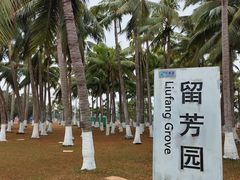 -万绿园