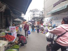 -找不到凉面(新都粮食局毗河油厂职工宿舍大院店)