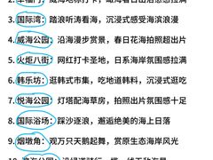 -幸福门