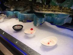 -海鼎荟海鲜姿造(晋江宝龙店)