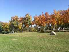 -长春世界雕塑园冰雪艺术天地