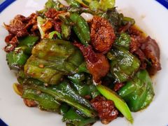 -食家鸽园