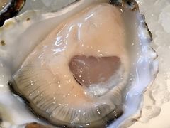 -Oyster Talks 四度蚝法餐厅
