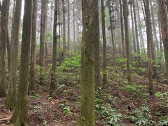 -井冈山风景名胜区-黄洋界