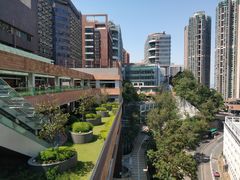 -香港大学