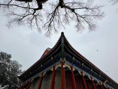 -颐和园