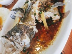 广式蒸石斑鱼-蓝湾碧波·老字号·疍家非遗海上餐厅
