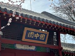 -桃花堤公园