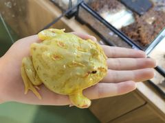 -藦茜花园宠物主题亲子互动体验馆(国顺东路店)