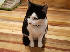 -猫的天空之城概念书店(杭州南宋御街店)