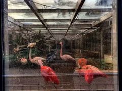 -石家庄市动物园