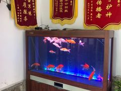 -绿野餐厅(上海动物园店)