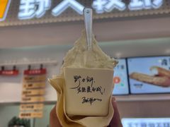 -野人先生现做冰淇淋(西安赛格店)