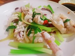 鲜鱿鱼-潮粥馆(长江花园店)