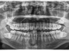 -牙博士口腔(杨浦店)