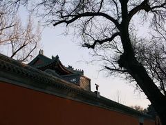 -明故宫遗址公园