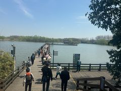 -溱湖国家湿地公园