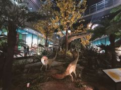 -湖南省地质博物馆