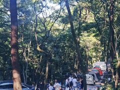 -梦幻奥陶纪景区