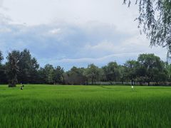 -北坞公园
