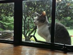 picture-马勒别墅饭店(静安寺店)