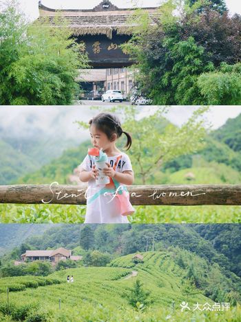 成都驱车4h|逃离城市  茶山避世度假️