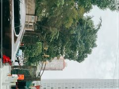 -中国福利会少年宫