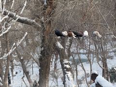-水磨沟公园