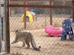 -青藏高原野生动物园