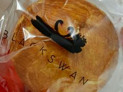 -BLACKSWAN黑天鹅(环球店)