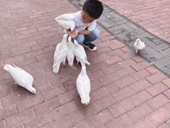 -王府井奥莱临潼小镇(临潼店)