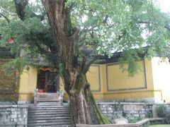 -无锡惠山寺