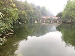 -云溪植物园