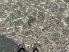-三亚蜈支洲岛旅游区