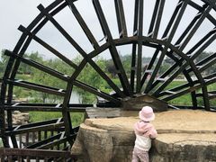 -贵阳市花溪国家城市湿地公园